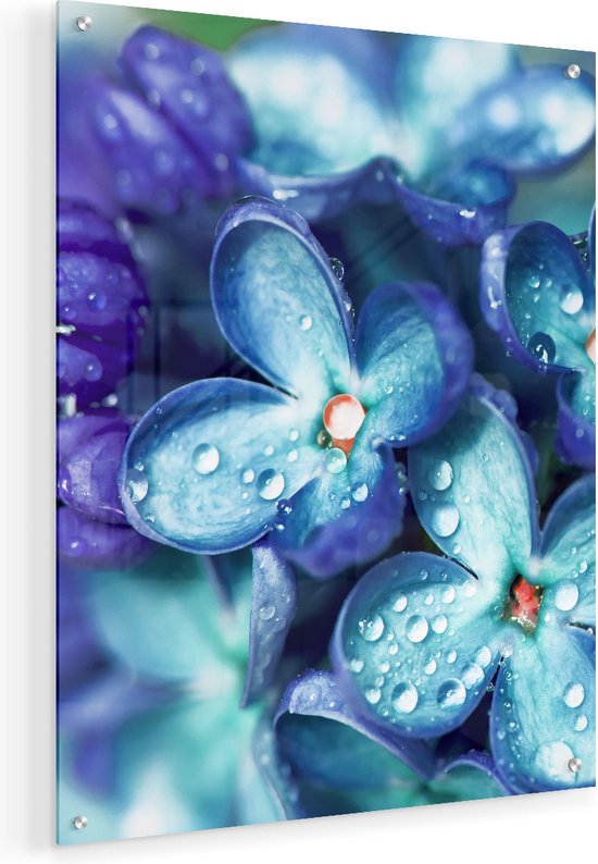 Artaza Glasschilderij - Blauwe Lila Bloemen - Seringen - 40x50 - Plexiglas Schilderij - Foto op Glas