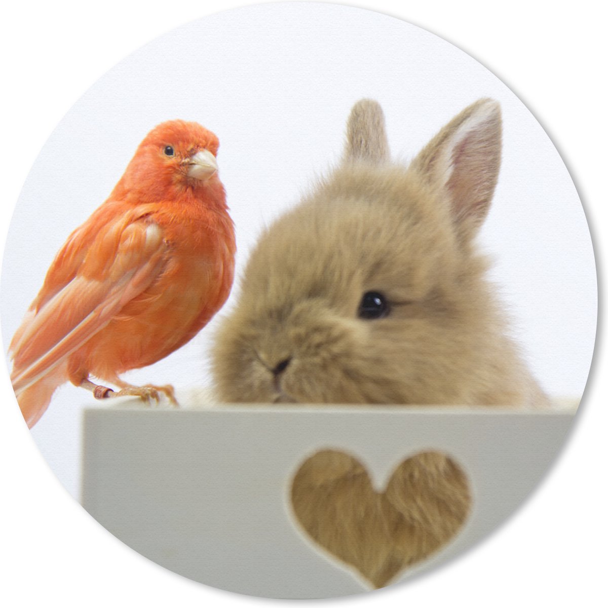 Muismat rond 30x30 cm - Mousepad Dieren - Konijn - Vogel - Ronde muismatten