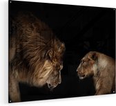 Artaza Glasschilderij - Leeuw En Leeuwin - 120x90 - Groot - Plexiglas Schilderij - Foto op Glas