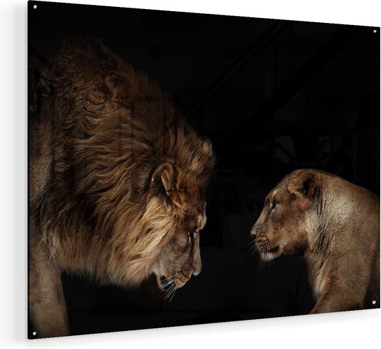 Artaza Glasschilderij - Leeuw En Leeuwin - 120x90 - Groot - Plexiglas Schilderij - Foto op Glas