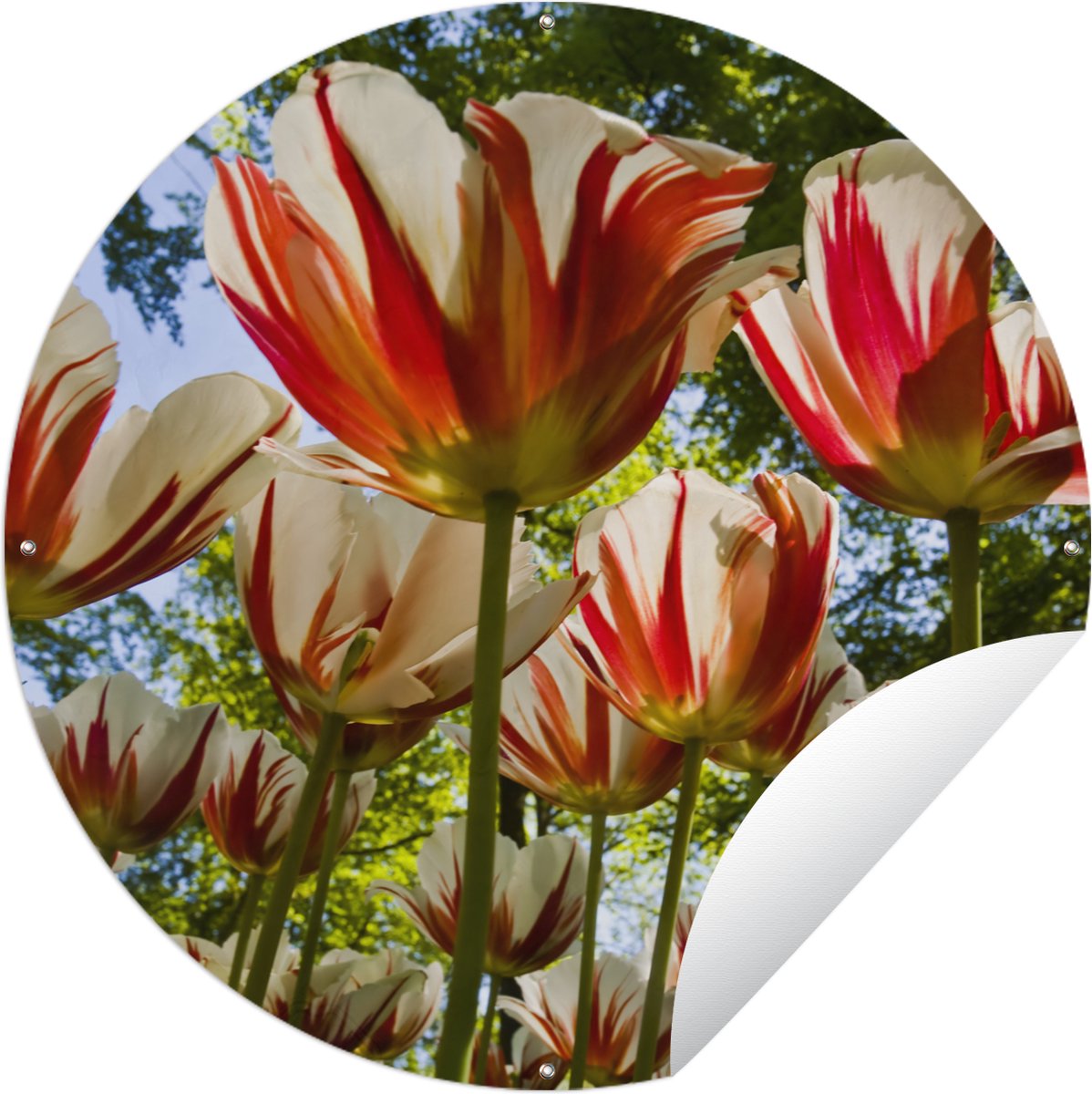 Bol à Snacks Grandin Road Avec Support Tulipes Florales - Édition 2021 Limitée - Occasion Excellent état