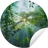 Tuincirkel Zonlicht schijnt op een grot in het regenwoud van Maleisië - 60x60 cm - Ronde Tuinposter - Buiten