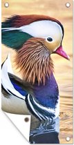 Affiche de clôture Canard - Water - Animal - 100x200 cm - Toile de jardin