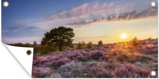 Foto: Tuinposter heide bij zonsondergang 80x40 cm wanddecoratie buiten tuinposter tuindoek schuttingposter tuinschilderij