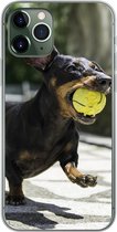 Geschikt voor iPhone 11 Pro hoesje - Een zwarte Teckel met een tennisbal - Siliconen Telefoonhoesje
