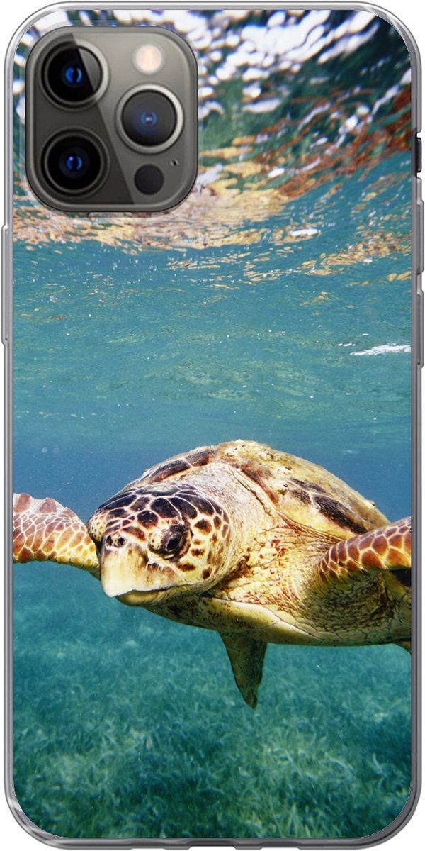 Telefoonhoesje Geschikt voor iPhone 12 Pro hoesje - Schildpad - Water - Blauw - Siliconen Telefoonhoesje Telefoonhoesje