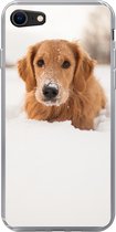 Geschikt voor iPhone 8 hoesje - Hond - Sneeuw - Winter - Siliconen Telefoonhoesje