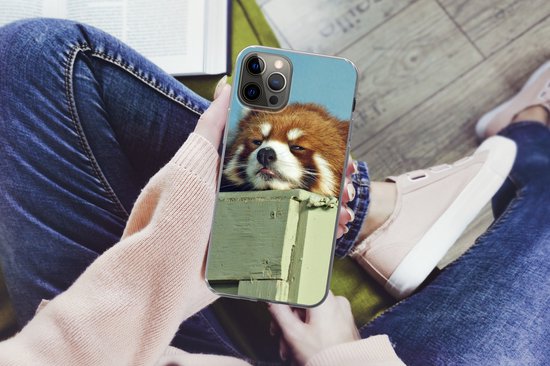 Coque iPhone 13 Pro - Panda - Bois - Rouge - Siliconen - Sinterklaas - Noël - Cadeaux - Cadeaux de chaussures