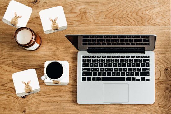 Sous-verres -verres - Chambre de bébé - Lapin - 10x10 cm - 6 pièces