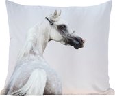 Sierkussen - Paard Zand - Bruin - 50 Cm X 50 Cm