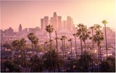 Palmbomen voor de prachtige skyline van Los Angeles - Foto op Forex - 60 x 40 cm