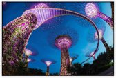Neon verlichte tuinstad Gardens by the Bay in Singapore - Foto op Akoestisch paneel - 225 x 150 cm