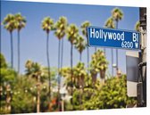 Palmbomen op Hollywood Boulevard in Los Angeles - Foto op Canvas - 60 x 40 cm
