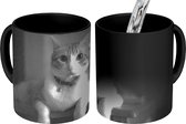 Magische Mok - Foto op Warmte Mokken - Koffiemok - Dierenprofiel liggende kat in zwart-wit - Magic Mok - Beker - 350 ML - Theemok