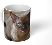 Mok - Schattige Burmees kat in de mand - 350 ML - Beker