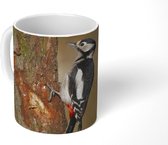 Mok - Een grote bonte specht in de herfst - 350 ML - Beker