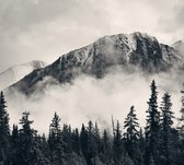 Misty Mountain Forest - Fotobehang (in banen) - 450 x 260 cm