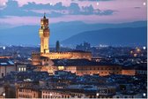 Uitzicht op Palazzo Vecchio en de stad Florence - Foto op Tuinposter - 225 x 150 cm