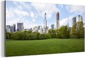 Wanddecoratie Metaal - Aluminium Schilderij Industrieel - New York - Skyline - Central Park - 160x80 cm - Dibond - Foto op aluminium - Industriële muurdecoratie - Voor de woonkamer/slaapkamer