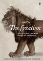 Musica Saeculorum - Hayhdn: The Creation (DVD)