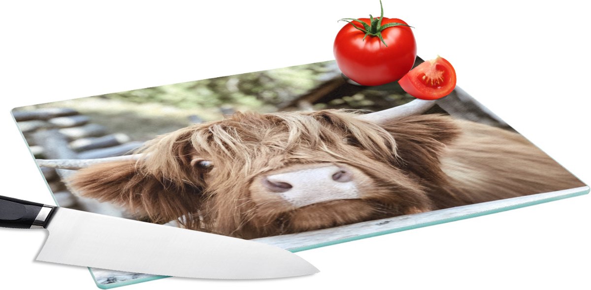 Glazen Snijplank - 39x28 - Schotse hooglander - Macro - Hoorns - Snijplanken Glas