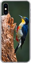 Geschikt voor iPhone X hoesje - Close-up van een kleurrijke vogel op de zijkant van een boomstronk - Siliconen Telefoonhoesje