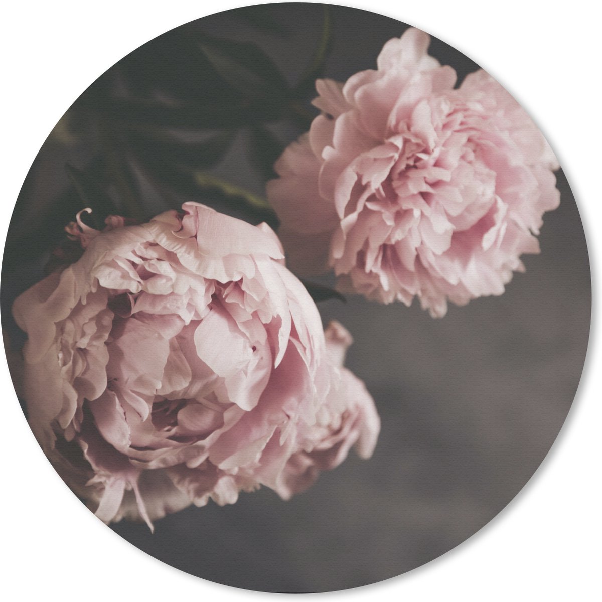 Muismat rond 30x30 cm - Mousepad Twee roze pioenen - Ronde muismatten