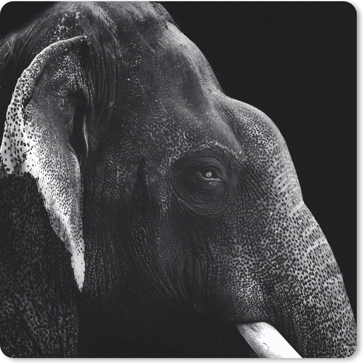 Muismat 30x30 cm - Mousepad Dierenprofiel olifant in zwart-wit - Muismatten