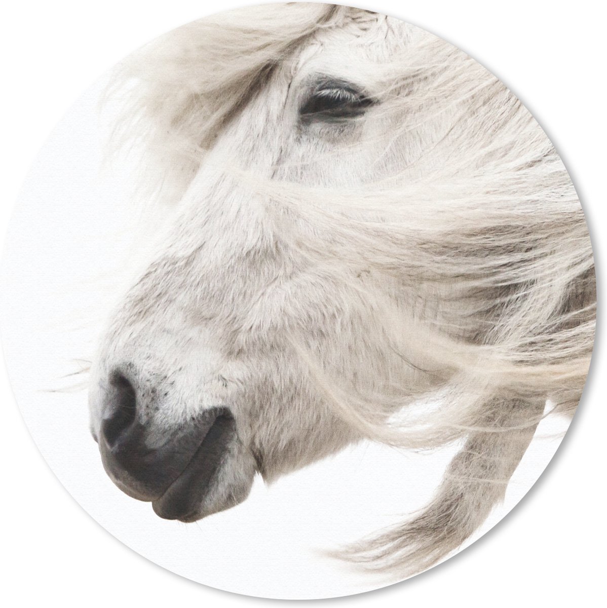 Muismat rond 20x20 cm - Mousepad Paard - Schimmel - Wit - Ronde muismatten