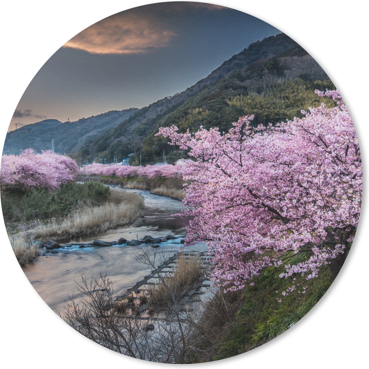 Muismat rond 40x40 cm - Mousepad Kersenboom - Bergen - Lente - Ronde muismatten