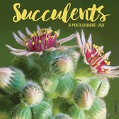 Succulents Kalender 2022