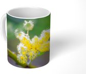 Mok - Een mimosabloem met een wazige achtergrond - 350 ML - Beker