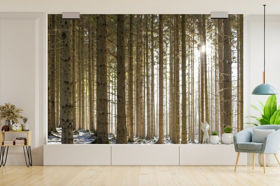 Papier fotobehang Une forêt avec des troncs d'arbres dans un paysage d'hiver