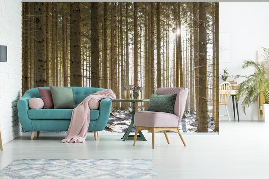 Papier fotobehang Une forêt avec des troncs d'arbres dans un paysage d'hiver