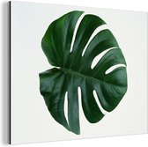 Wanddecoratie Metaal - Aluminium Schilderij Industrieel - Een groene botanische gatenplant - 80x60 cm - Dibond - Foto op aluminium - Industriële muurdecoratie - Voor de woonkamer/slaapkamer
