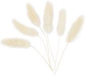 Hazenstaart gras, L: 3-7 cm, 6 stuk/ 1 doos