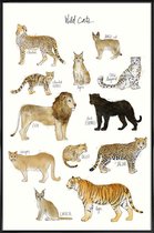 JUNIQE - Poster met kunststof lijst Wilde katten illustratie -13x18