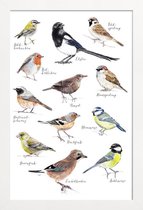 JUNIQE - Poster met houten lijst Vogel illustratie -13x18 /Kleurrijk