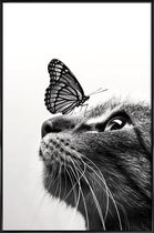 JUNIQE - Poster in kunststof lijst Butterfly Kiss -30x45 /Grijs