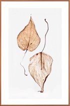 JUNIQE - Poster met kunststof lijst Delicate Leaves -13x18 /Bruin &