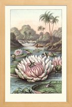 JUNIQE - Poster in houten lijst Water Lily -60x90 /Grijs & Groen