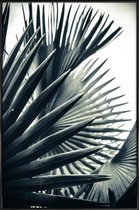 JUNIQE - Poster met kunststof lijst Palm Shade 2 -13x18 /Grijs & Groen