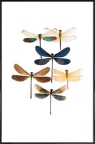 JUNIQE - Poster in kunststof lijst Libellen -20x30 /Blauw & Bruin