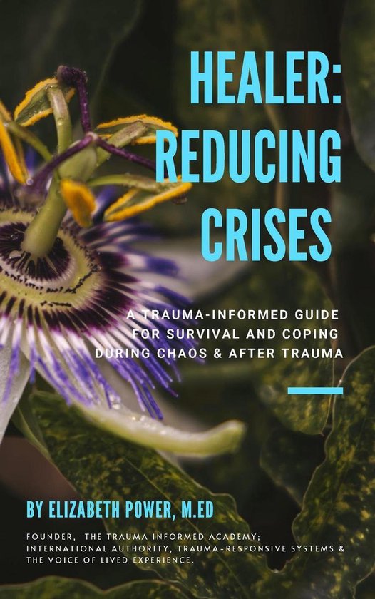Healer - Healer: Reducing Crises - cover
