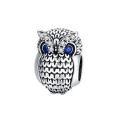 Uil zirconia ogen bedel | inspiring owl bead | Zilverana | geschikt voor alle bekende merken | 925 zilver | moederdag