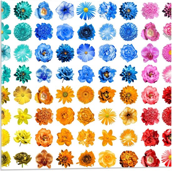 Acrylglas - Verschillende Gekleurde Bloemen - 50x50cm Foto op Acrylglas (Met Ophangsysteem)