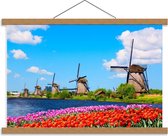 Schoolplaat – Nederlandse Molens met Tulpen - 60x40cm Foto op Textielposter (Wanddecoratie op Schoolplaat)