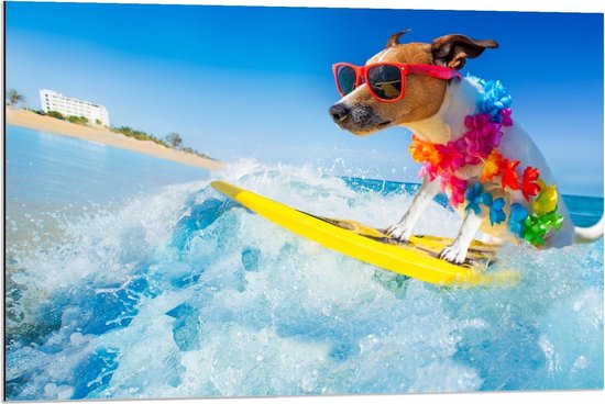 Dibond - Hond surfend op Zee - 90x60cm Foto op Aluminium (Wanddecoratie van metaal)