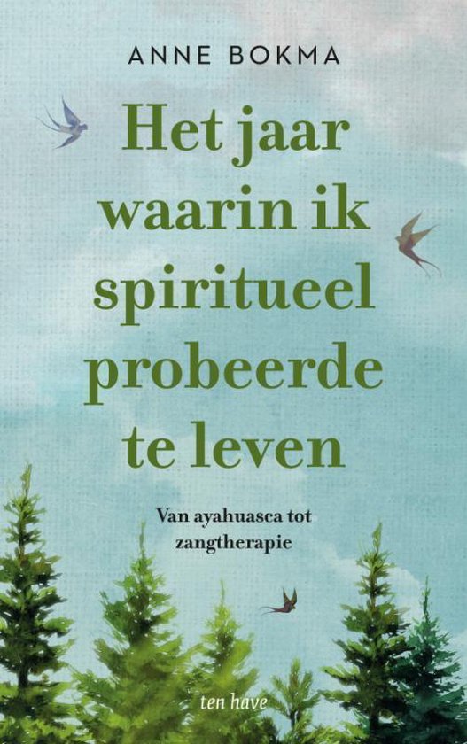 Het jaar waarin ik spiritueel probeerde te leven - cover