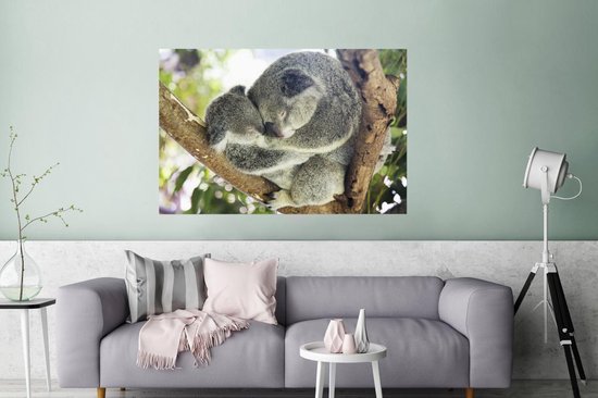 Cuddling koala mother and joey Poster 180x120 cm - Tirage photo sur Poster (décoration murale salon / chambre) / Poster Animaux XXL / Groot format!